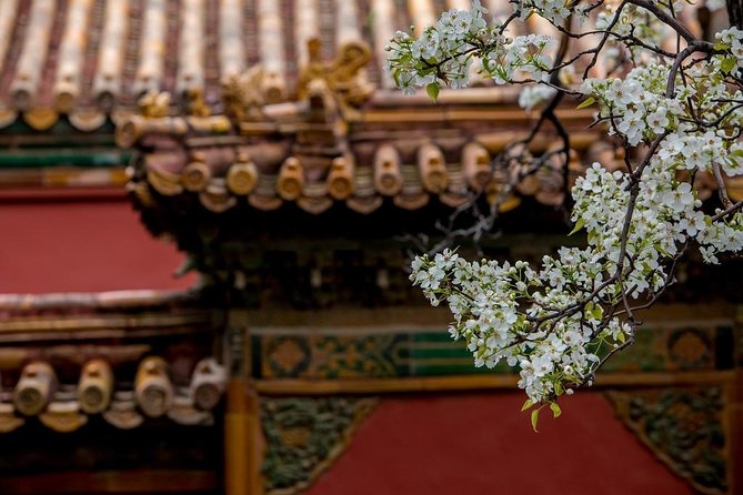3-Day Private Beijing Tour with Forbidden City, Great Wall, Hutong and Lunch - Day three: Temple of Heaven and the Summer Palace