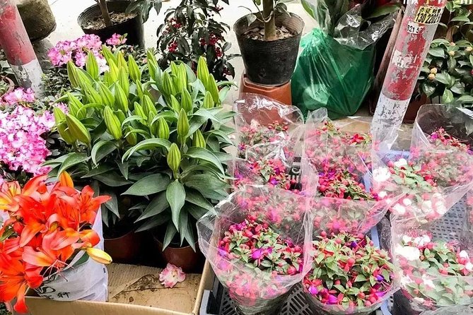 6-Hour Private Beijing Tour: Flower and Fish Market, Panjiayuan Antique Market and 798 Art Zone - Who should book this Beijing market tour?