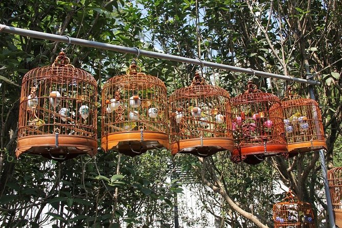 6-Hour Private Beijing Tour: Flower and Fish Market, Panjiayuan Antique Market and 798 Art Zone - Shilihe’s flowers, fish, insects, and stones