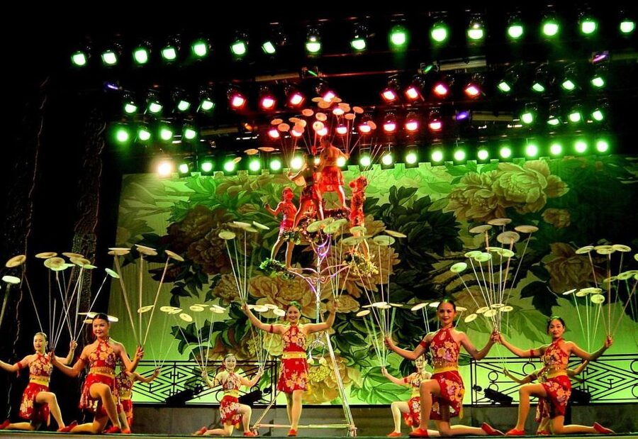 Beijing: Acrobatic Show with Peking Duck Dinner Private Tour - Practical tips for getting the most from the evening