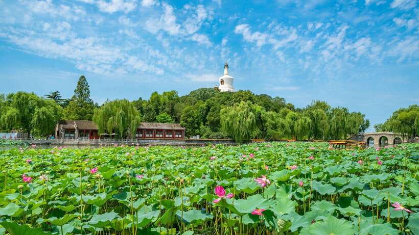 Beijing: Beihai Park Entry Ticket & English PDF Guidebook - Entering the Park Without a Ticket Counter Stop