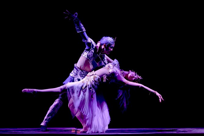 Beijing Evening Tour: Chaoyang Acrobatic Show with Peking Duck Dinner - Who will enjoy this evening most