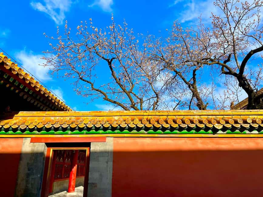Beijing:Forbidden City--Reveal Secrets Behind Red Walls - Imperial Garden and the northern exit