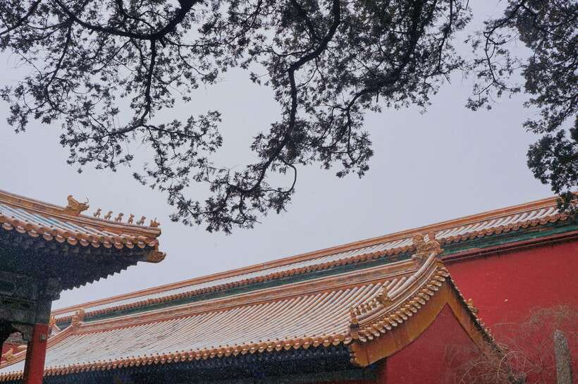 Beijing:Forbidden City & Tian'anmen Square with entry ticket - FAQ