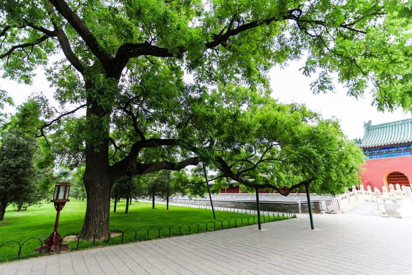 Beijing：Forbidden City Tour—Temple, Summer Palace&Great Wall - Temple of Heaven, Summer Palace, or the Great Wall