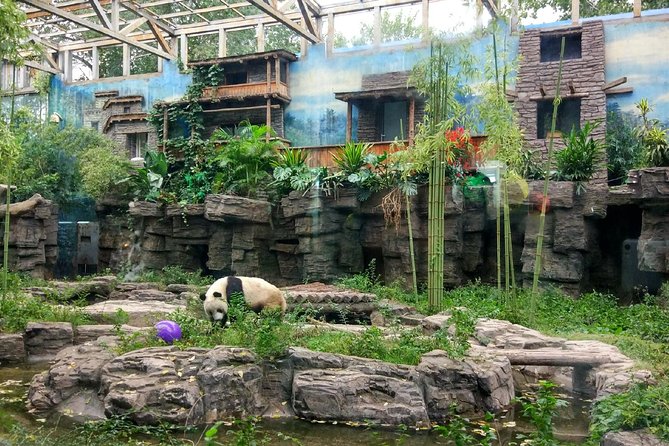Beijing Half-Day Private Customized Tour: Visit Your Dream Spots - A private Beijing plan instead of a fixed route