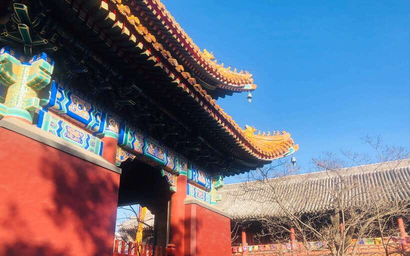 Beijing lama Temple Or Confucius Temple Tickets Reservation - Why a self-guided visit can work well