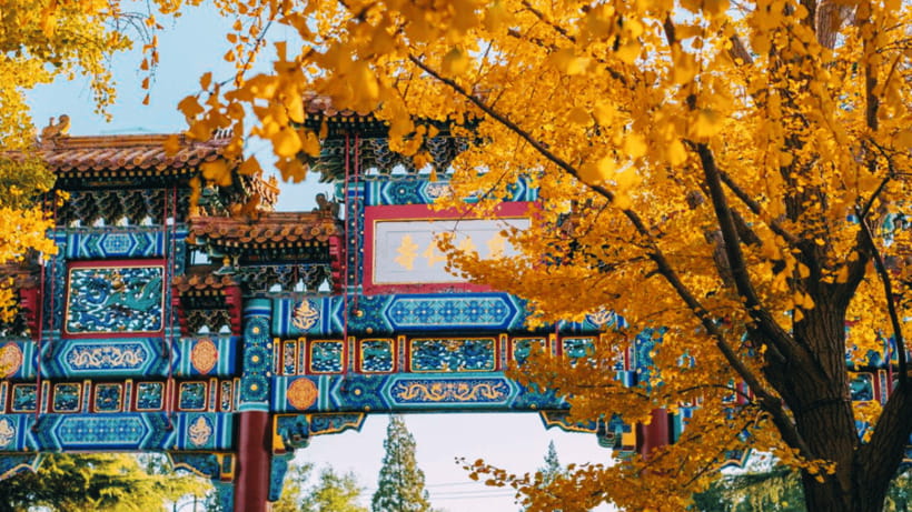 Beijing: Lama Temple (Yonghe Temple) Admission Ticket - A visit shaped by worship, incense, and crowds