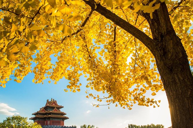 Beijing Layover Tour to Tiananmen Square and Forbidden City - What the $180 price includes