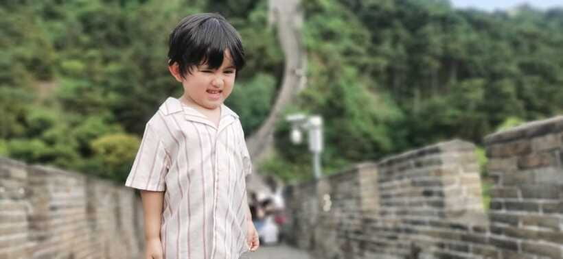 Beijing: Mutianyu Great Wall Tour and China Aviation Museum - Should you book the Mutianyu and Aviation Museum tour?