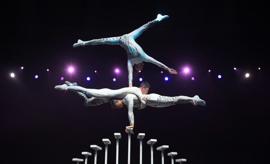Beijing Night Tour with Acrobatics Show & PekingDuck Dinner - Is $192 per person a fair price?