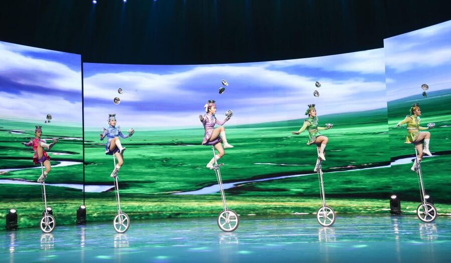 Beijing Night Tour with Acrobatics Show & PekingDuck Dinner - Who will get the most from this evening?