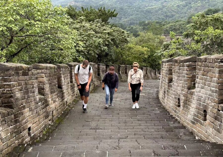 Beijing Private Custom Tour: Licensed Guide&Transfer Service - Adding the Great Wall to a limited day