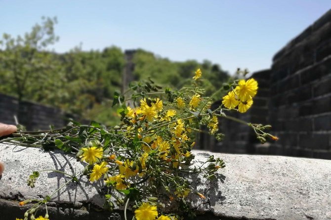 Beijing Private Transfer: Badaling Great Wall with VIP Past Pass - Badaling Great Wall, famous for good reason