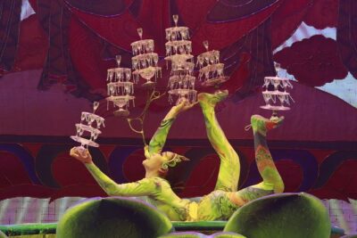 Beijing Roast Duck Banquet and Acrobatics Show with VIP Seats Evening Tour