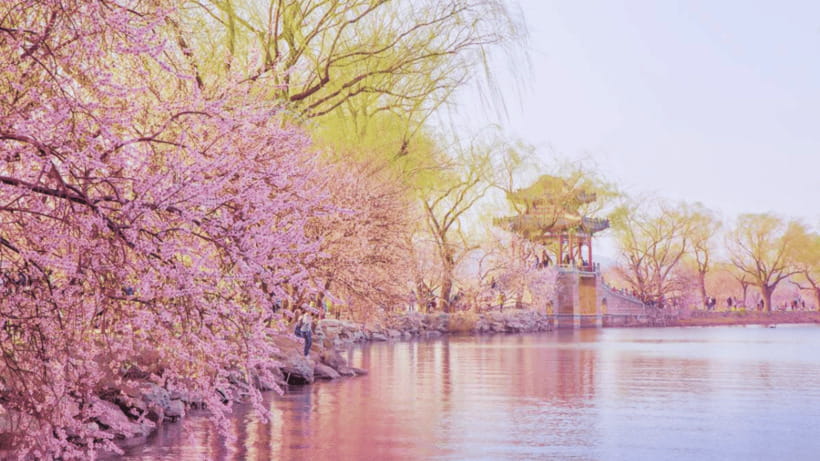 Beijing: Summer Palace Admission Ticket and eGuide - Getting your ticket confirmed correctly