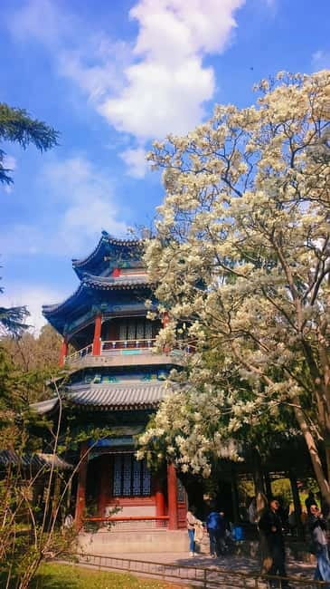 Beijing: Summer Palace Highlight Walking Tour - Is $41 a fair price?