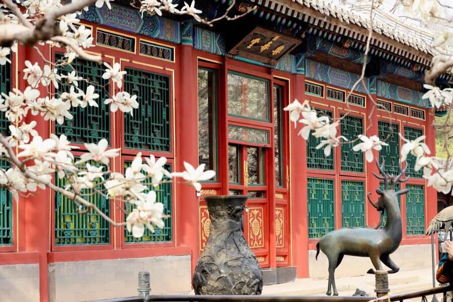 Beijing: Summer Palace, Sacred Road&Ming Tombs Private Tour - A full day linking Beijing’s imperial garden and royal tombs
