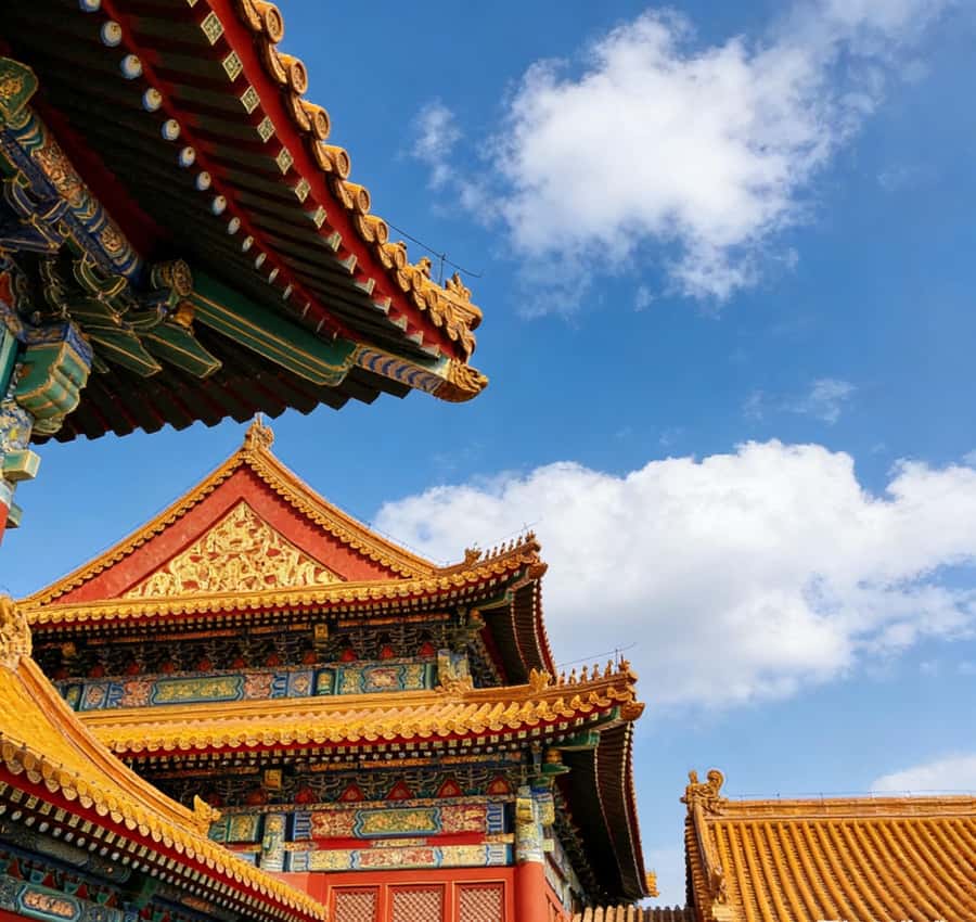 Beijing: Temple of Heaven and Forbidden City Private Tour - Tiananmen Square, with the right expectations