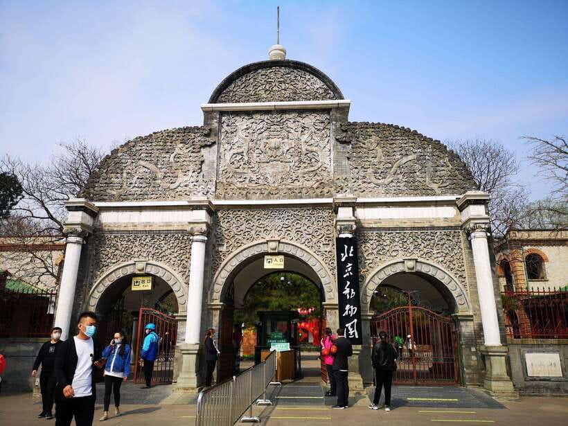 Beijing: The Beijing Zoo Entry Ticket with Pandas - How long should you stay?