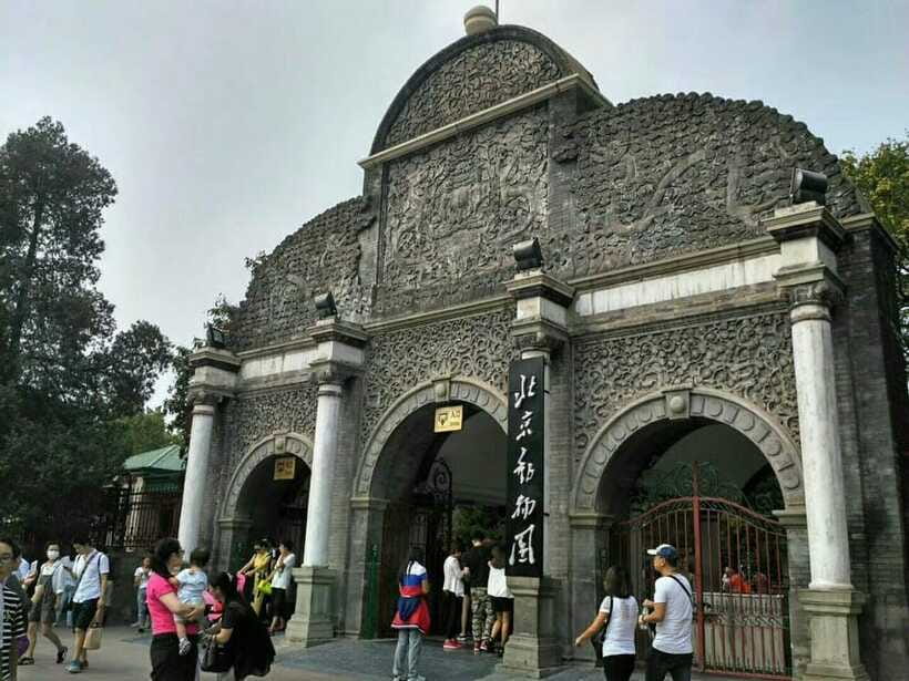 Beijing: The Beijing Zoo Entry Ticket with Pandas - Is the $6 price good value?