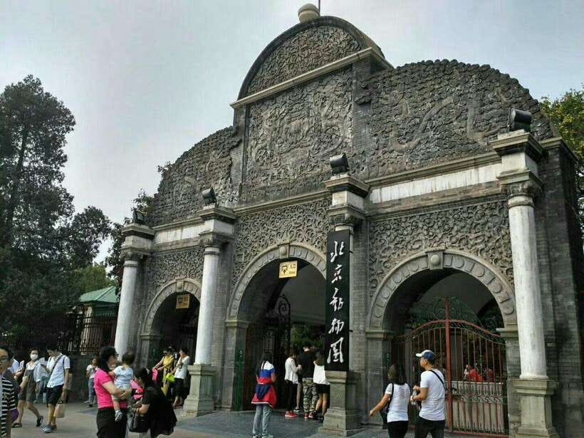 Beijing: The Beijing Zoo Entry Ticket with Pandas - A three-hour route through Beijing Zoo
