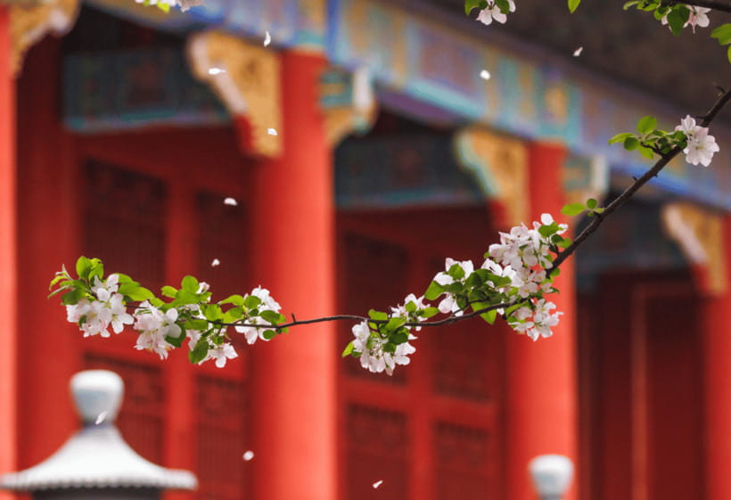 Beijing: Tiananmen Square and Forbidden City Entry Tickets - Summer Palace: add water, gardens, and a change of pace