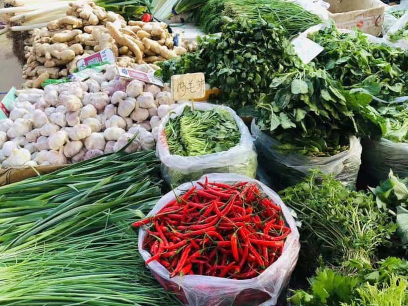 Beijing: Vegan Home Cooking & Local Market Tour with Sanxia - From Tongzhou market to Sanxia’s kitchen