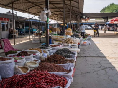 Vegan Home Cooking & Local Market Tour with Sanxia