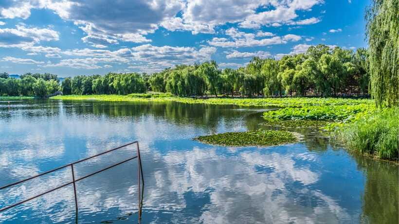 Beijing: YuanMingYuan Park (Garden of Gardens) e-Ticket - Walking through the former imperial gardens