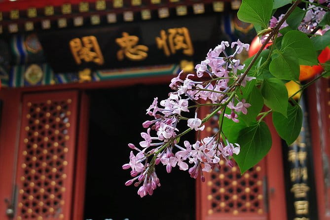 BusDa-Full-Day Bus Trips: Mutianyu, Summer & Old Summer Palaces - What the $23 price really covers