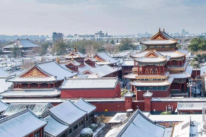 Dim Sum Breakfast&Tailored Beijing Highlights Tour-Pick Your Spot - Five packages, five very different days