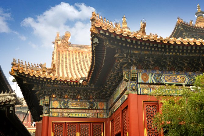 Full-Day Beijing City Tour: Hutongs, Lama Temple and Panda House - The Panda House is a focused animal stop