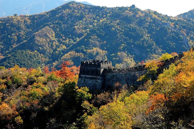 Great Wall of China at Mutianyu Full-Day Tour Including Lunch from Beijing - Who should book this Mutianyu day trip?