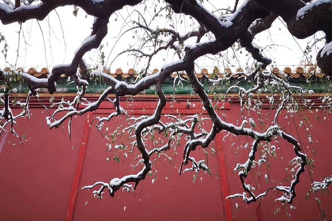 Half Day Beijing Group Tour to Tiananmen Square and Forbidden City - A fast, useful introduction to imperial Beijing