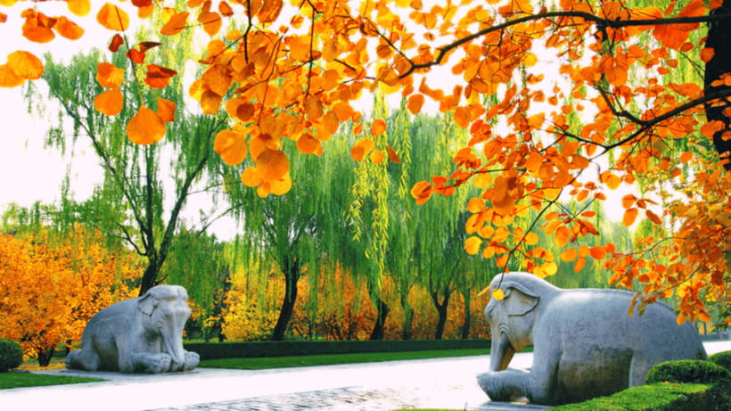 Ming Tombs Admission Ticket - Booking details that can prevent a wasted day