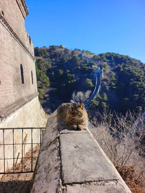 Mutianyu Great Wall Private Tour with English Driver - Cable car up, toboggan down, or walk