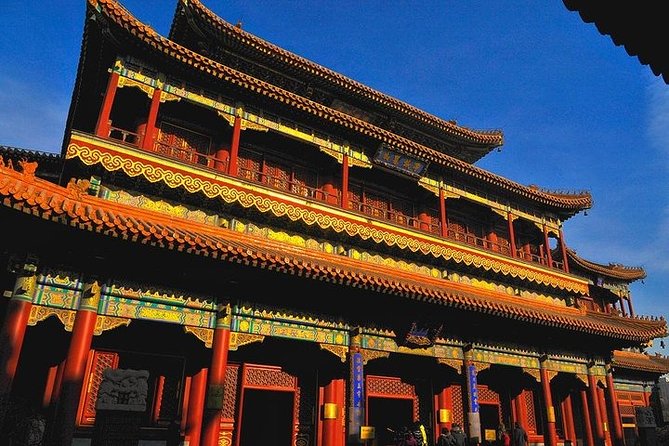 Panda House, Temple of Heaven, Lama Temple, Summer Palace & Lunch - The Panda House: a short, appealing first stop