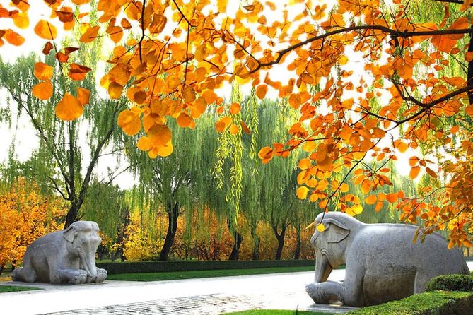 Private Beijing Day Trip: Mutianyu Great Wall and Ming Tombs - A private guide changes the pace