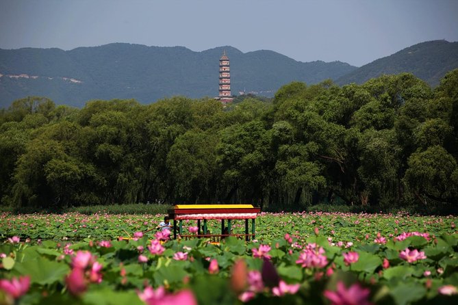 Private Day Tour: Summer Palace and Old Summer Palace in Beijing - What to expect at the Old Summer Palace