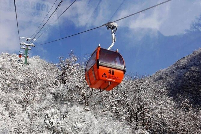 Private Day Tour to Beijing Mutianyu Great Wall - Who should choose this private tour