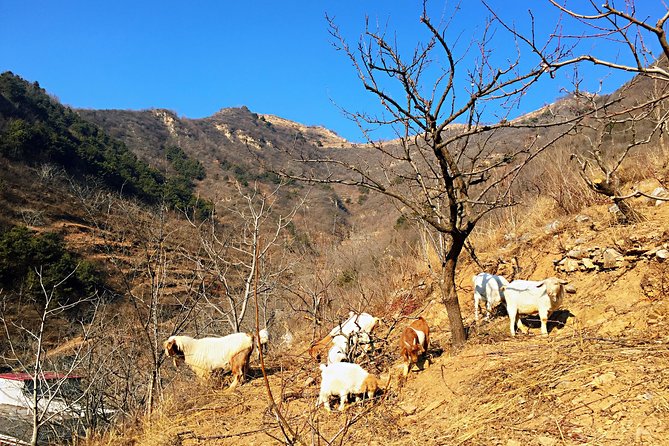 Private Great Wall Hiking Tour: Across The Border of 3 China Provinces - What private transport and guiding add