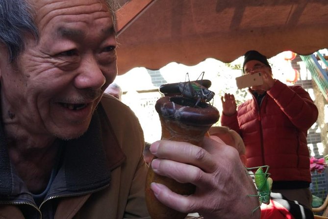 Private Hutong Culture Tour with Dumpling Cooking Class plus Cricket Fighting Game - Lama Temple and the large wooden Buddha