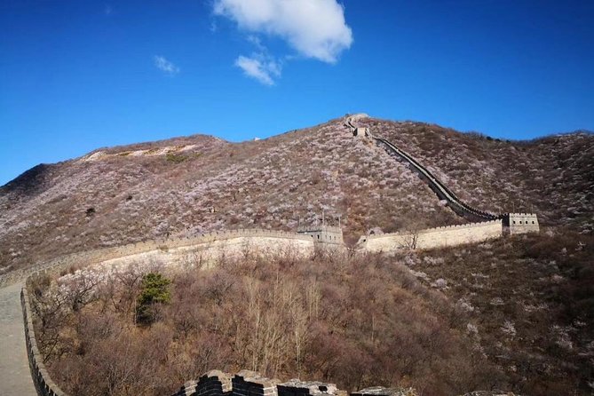 Private Layover Tour to Mutianyu Great Wall and Forbidden City - Forbidden City: an imperial complex with a ticket caveat