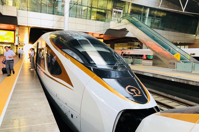 Private Tianjin Port Departure Transfer from Beijing by Bullet Train Experience - Key points to know before booking