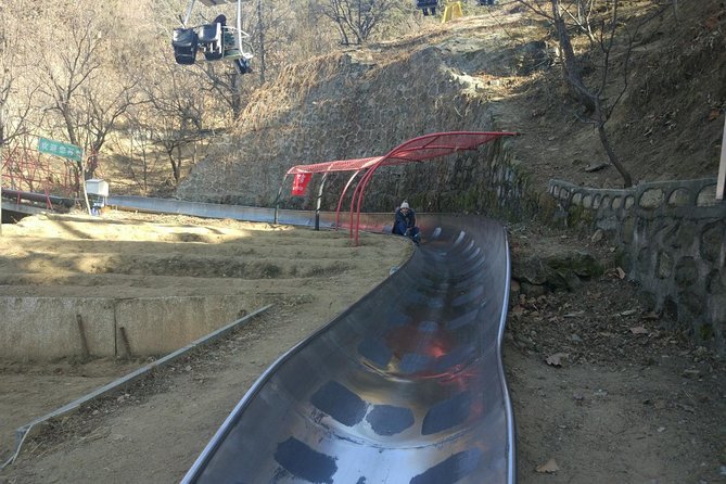 Private Tour to Mutianyu Great Wall Lift Way Up & Toboggan Down - Who Will Enjoy This Tour Most?