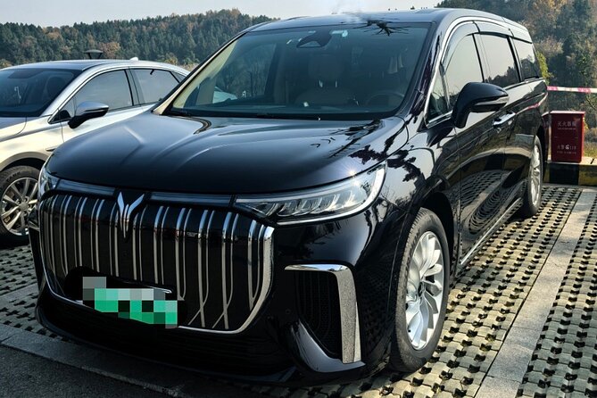 Private Transfer for Beijing Airport PEK or PKX - Key points to know before booking