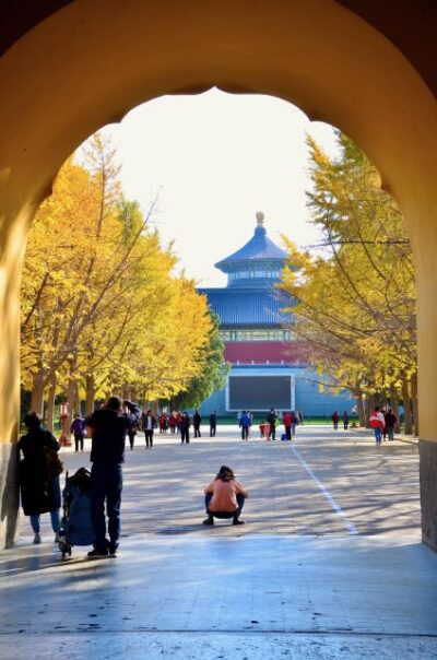 Small-Group Beijing City Highlights Tour With Lunch