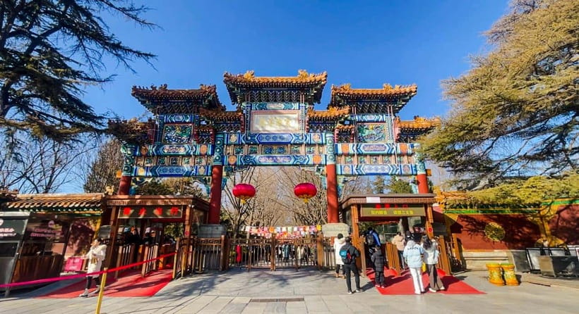 Summer Palace, Hutongs and Temple of Heaven Tour - Who should book this day?