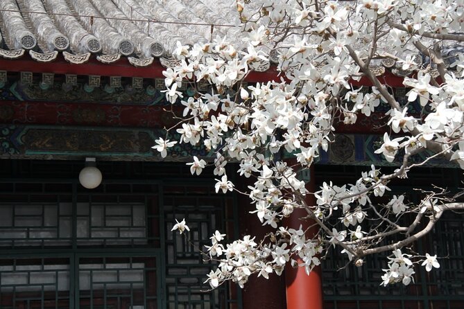 Summer Palace Ticket with optional Guided Tour - Why the Summer Palace is worth your time